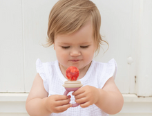 Cherub Baby Silicone Fresh Food Feeder - Dusty rose/Sand