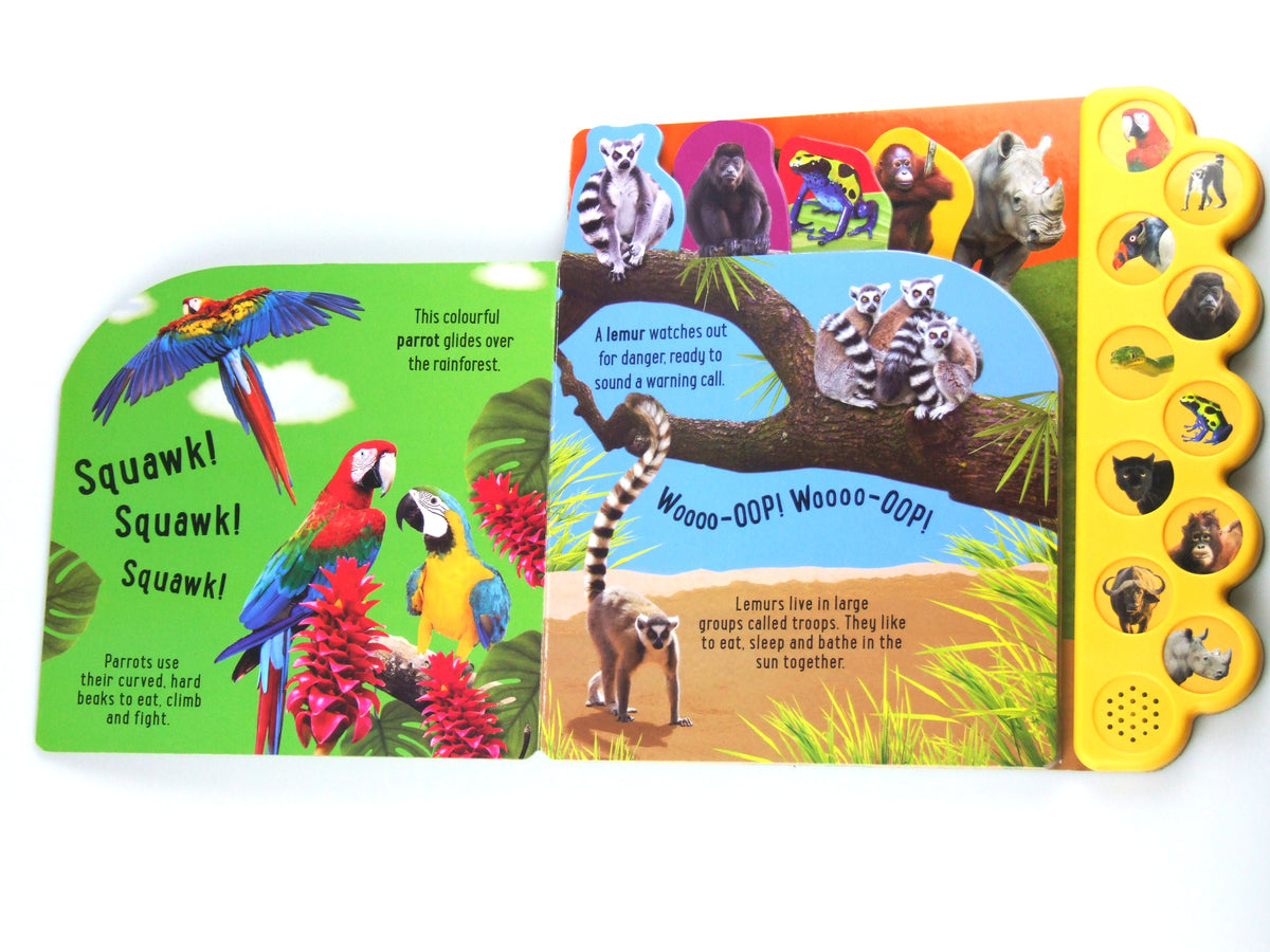 Squawk　sounds　–　Online　Jungle!　Book　Board　in　the　Shop　Discovery　Little　Animals　with