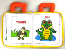 Dyles - My Opposites Book