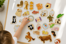 Koala Dream - 30 Pcs Wooden Magnetic Pet