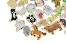 Koala Dream - 30 Pcs Wooden Magnetic Pet