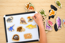 Koala Dream - 25 Pcs Wooden Magnetic Dinosaurs & Prehistoric Animals(ET227)
