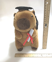 Graduation Capybara - 23cm