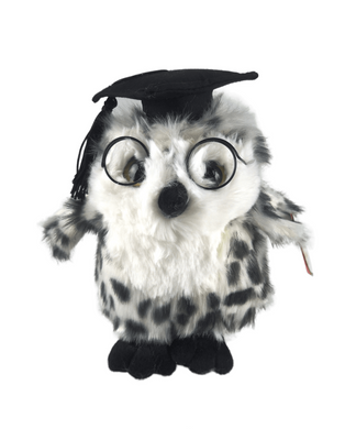 Graduation Owl - 18cm