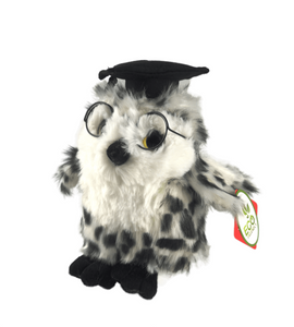 Graduation Owl - 18cm