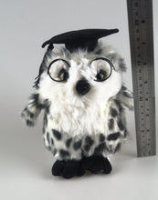 Graduation Owl - 18cm