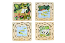 Koala Dream - Wooden Green Tree Frog 4 layers Life Cycle puzzle