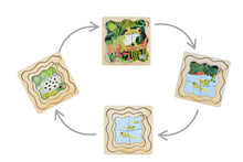 Koala Dream - Wooden Green Tree Frog 4 layers Life Cycle puzzle