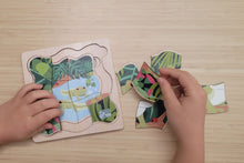 Koala Dream - Wooden Green Tree Frog 4 layers Life Cycle puzzle