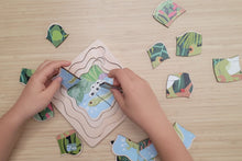 Koala Dream - Wooden Green Tree Frog 4 layers Life Cycle puzzle
