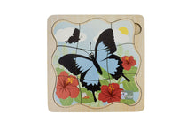 Koala Dream - Wooden Ulysses Butterfly 4 layers Life Cycle puzzle