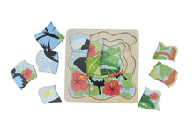 Koala Dream - Wooden Ulysses Butterfly 4 layers Life Cycle puzzle