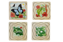 Koala Dream - Wooden Ulysses Butterfly 4 layers Life Cycle puzzle
