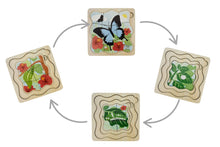 Koala Dream - Wooden Ulysses Butterfly 4 layers Life Cycle puzzle