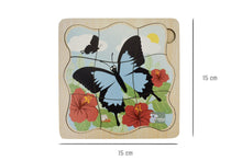 Koala Dream - Wooden Ulysses Butterfly 4 layers Life Cycle puzzle