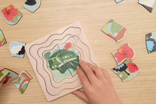Koala Dream - Wooden Ulysses Butterfly 4 layers Life Cycle puzzle