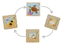 Koala Dream - Wooden Green Sea Turtle 4 layers Life Cycle puzzle