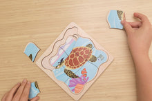 Koala Dream - Wooden Green Sea Turtle 4 layers Life Cycle puzzle