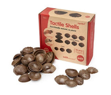 edx education - Tactile Shells
