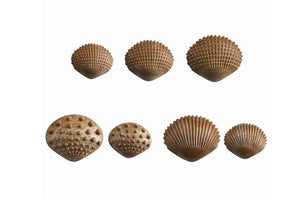 edx education - Tactile Shells