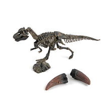 Adventure Dinosaur Skeleton Excavation Kit