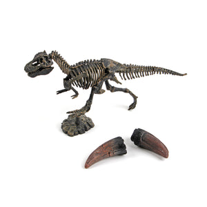 Adventure Dinosaur Skeleton Excavation Kit