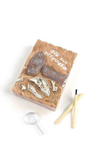 Adventure Dinosaur Skeleton Excavation Kit