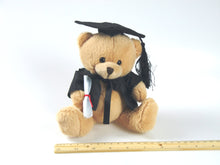 Graduation Teddy Bear - 14cm