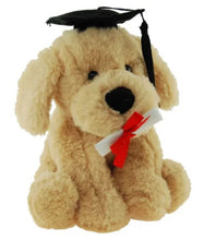 Graduation Dog Buddy - 18cm