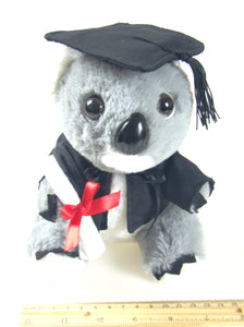 Graduation Koala - 18cm