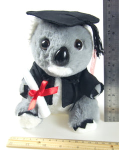 Graduation Koala - 18cm