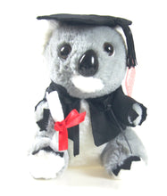 Graduation Koala - 18cm