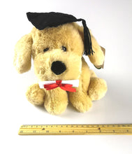 Graduation Dog Buddy - 18cm