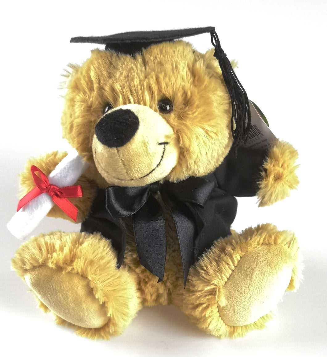 Graduation Teddy Bear - 18cm