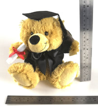 Graduation Teddy Bear - 18cm