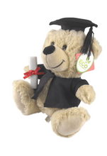 Graduation Beige Teddy Bear - 23cm