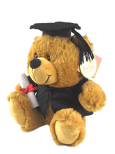 Graduation Brown Teddy Bear - 23cm