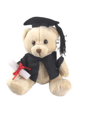 Graduation Teddy Bear - 16cm