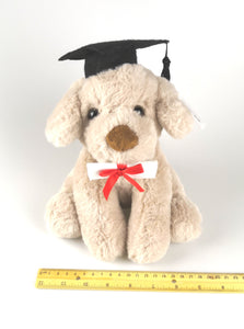 Graduation Dog Rocky - 20cm