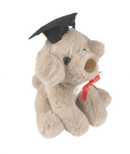 Graduation Dog Rocky - 20cm