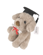 Graduation Dog Rocky - 20cm