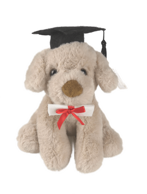 Graduation Dog Rocky - 20cm