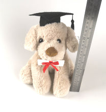 Graduation Dog Rocky - 20cm