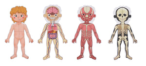 TookyToy -  Magnetic Anatomy Body Chart Puzzle