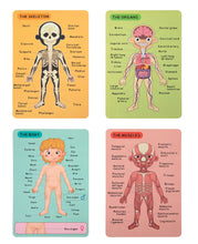 TookyToy -  Magnetic Anatomy Body Chart Puzzle