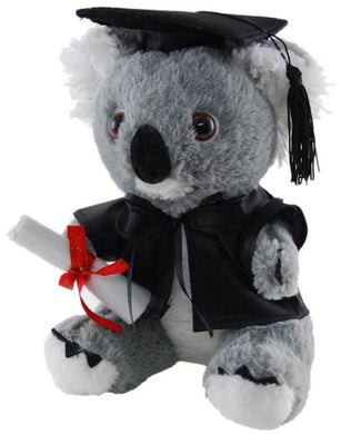 Graduation Koala - 18cm